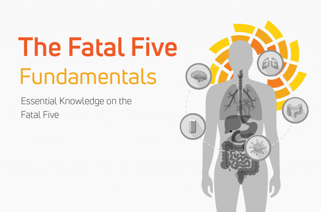 Fatal Five Fundamentals Single User eLearn Course