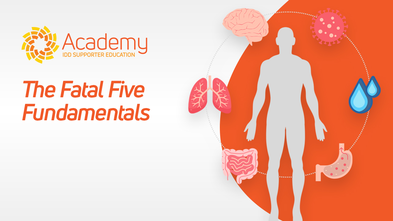 The Fatal Five Fundamentals​​​